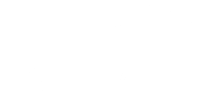 Pauli.Ai
